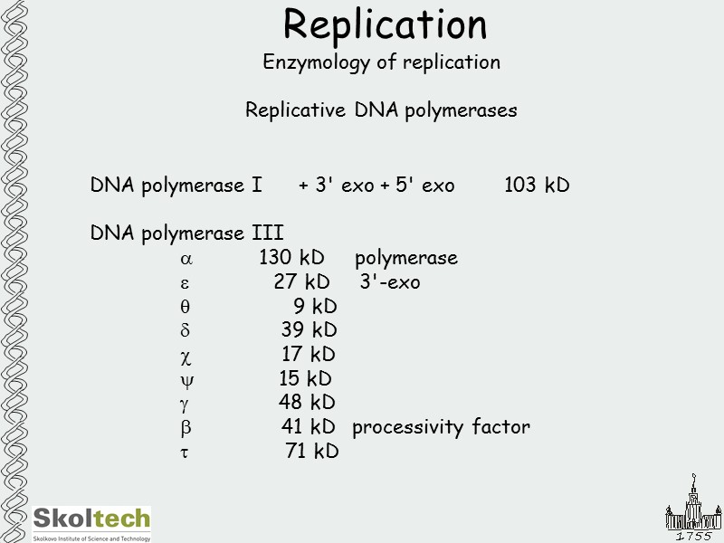 Replication Enzymology of replication  Replicative DNA polymerases DNA polymerase I   